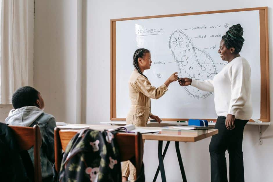 Educação Pública Brasil — Side view of African American female teacher standing near whiteboard with student during lesson